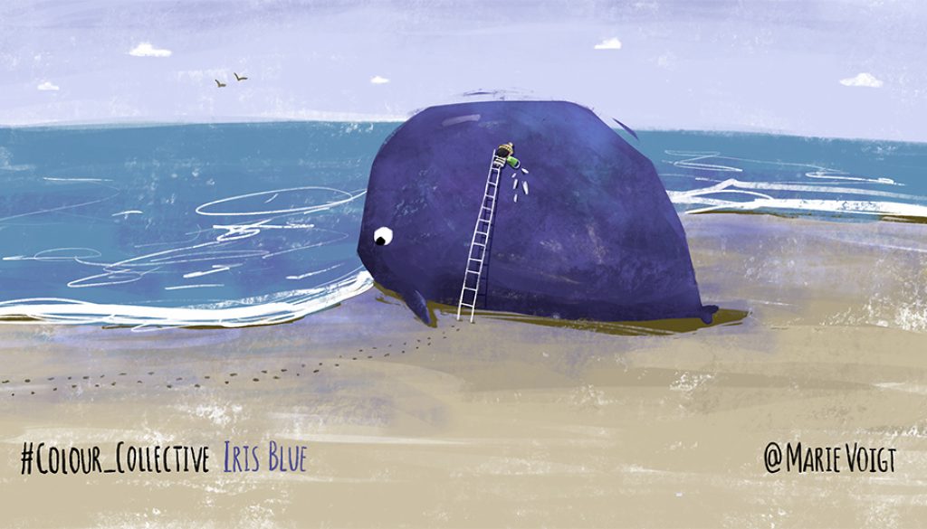 Colour Collective – Iris Blue